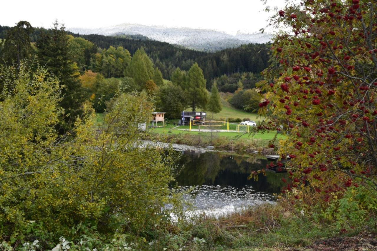 Ferienwohnung Familie Pichler Neumarkt in Steiermark Exterior foto